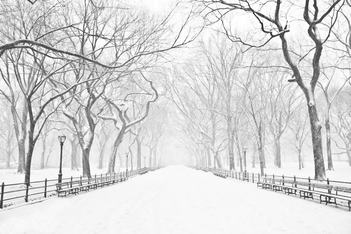 Snow Covered Empty Road Amidst Bare Trees